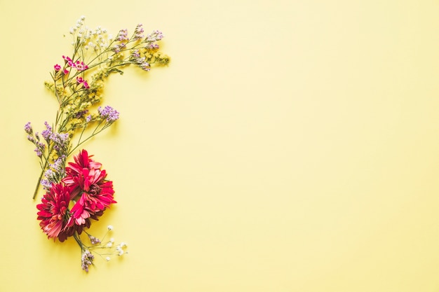 Asters and wild flowers