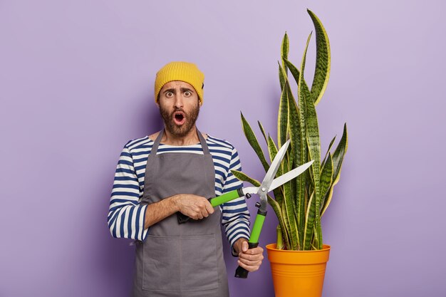 Astonished gardener posing with a big potted snake plant