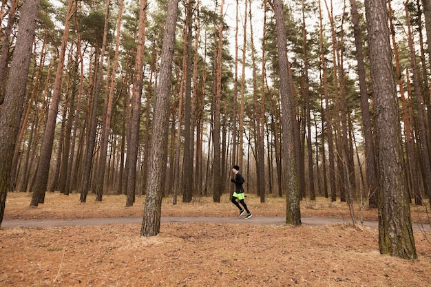 Free Photo athlete jogging in woods