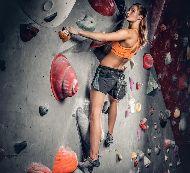 Free photo athletic brunette female on indoor climbing wall.