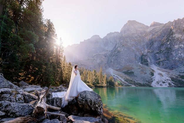 Free photo attractive bride is standing on the rock with breathtaking view of highland lake with green colored water on the sunny day, tatry mountains