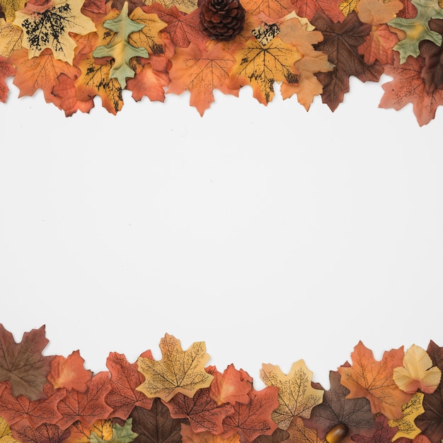 Free Photo autumn accessories designed as picture side frames