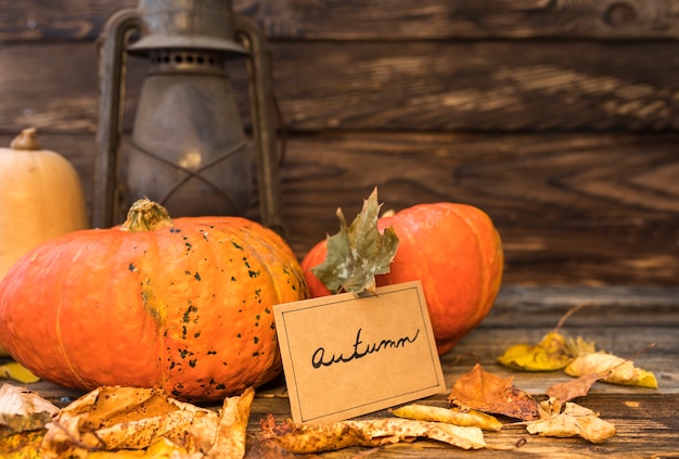 Free Photo autumn arrangement with pumpkins and rusty lantern