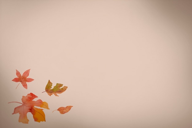 Free Photo autumn brown leaves shapes pattern