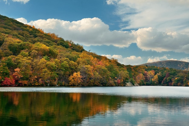 Autumn colorful foliage with lake reflection.