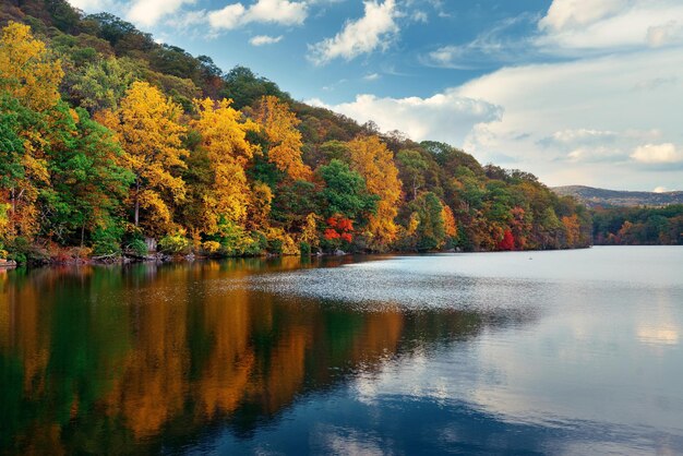 Autumn colorful foliage with lake reflection.