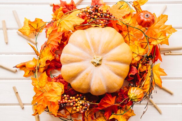 Autumn composition with pumpkin on autumn leaves