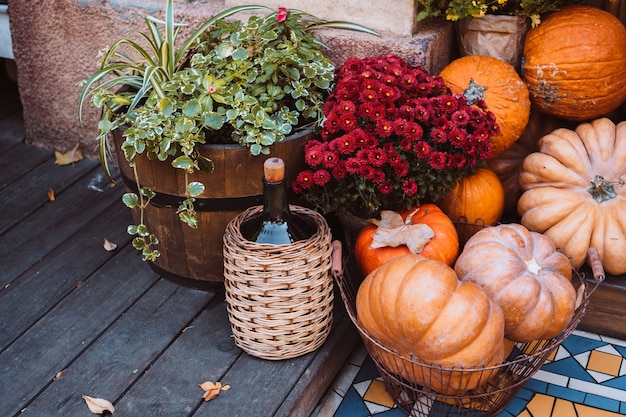 Free photo autumn decoration with pumpkins and flowers on a street