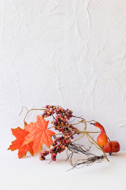 Free Photo autumn decorations near white wall