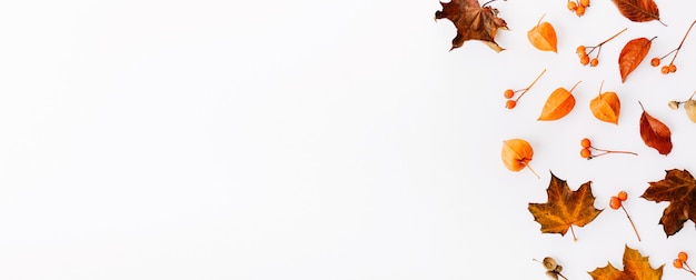 Free Photo autumn flat lay background on white