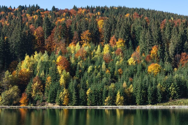 Autumn forest and lake in a mountainous area natural background