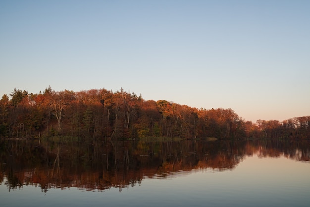 Free Photo autumn forest reflected on a lake