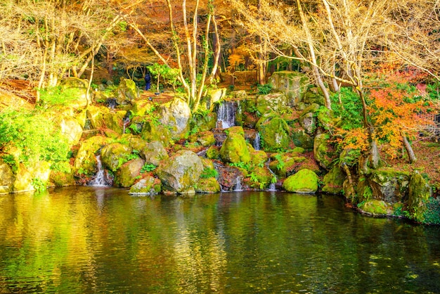 Free photo autumn forest with river