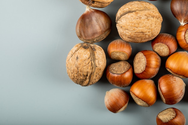 Free photo autumn fruits, walnut and chestnuts