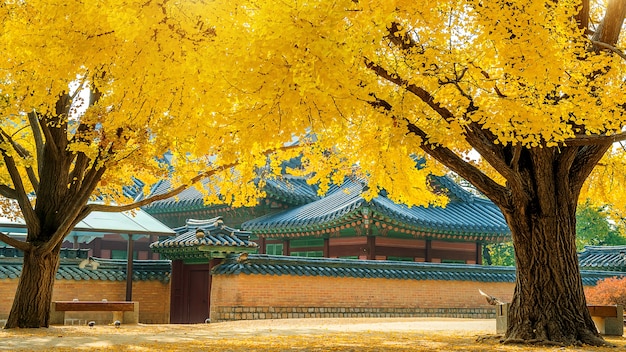 Free photo autumn in gyeongbokgung palace,south korea