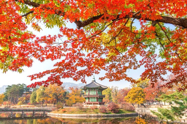 Autumn in Gyeongbukgung Palace,Korea.