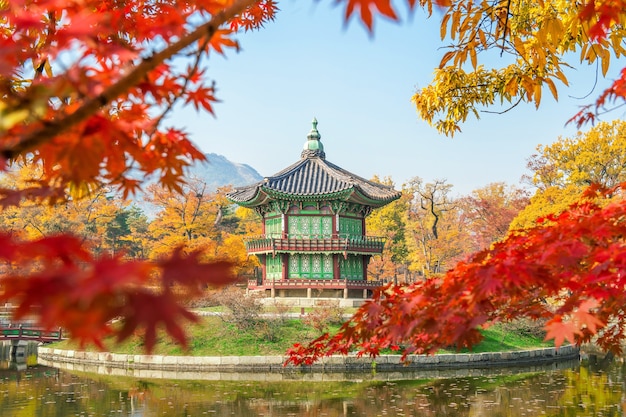 Autumn in Gyeongbukgung Palace,Korea.