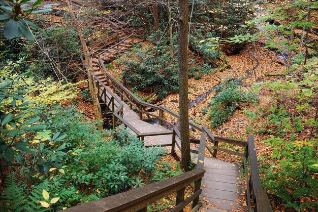 Autumn hiking trail