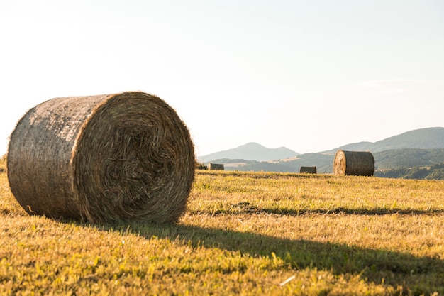 Free photo autumn landscape with big rolls of hays