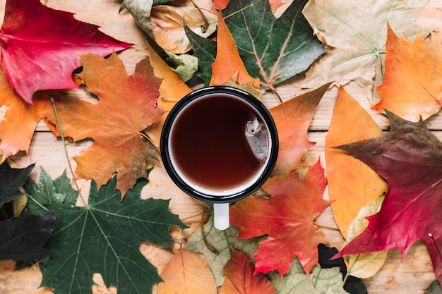 Autumn leaf composition with cup of tea on wood