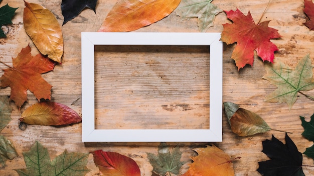 Autumn leaf composition with picture frame