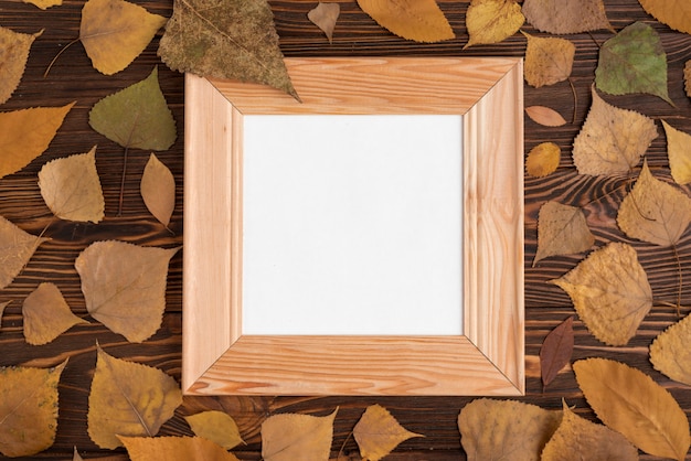 Autumn leaves around frame on table