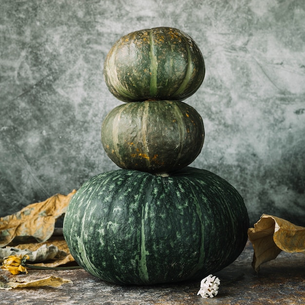 Free photo autumn leaves around squashes