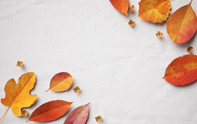 Autumn leaves arrangement with copy space