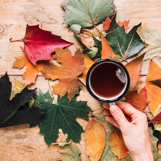 Autumn leaves and cup of tea on wooden background