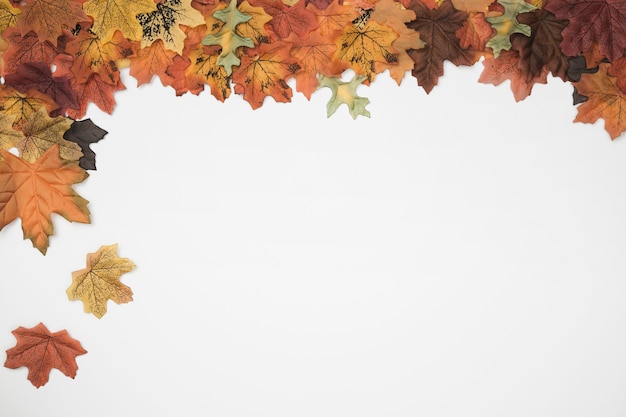 Free Photo autumn leaves falling from side frame