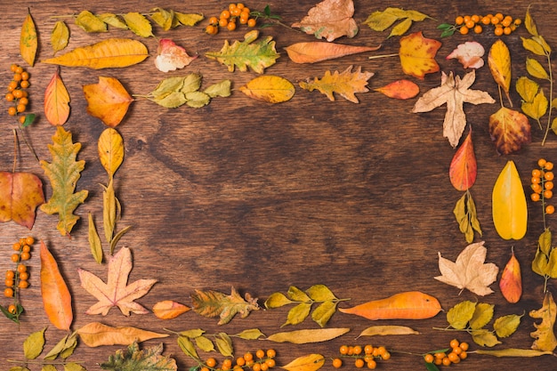 Free Photo autumn leaves frame on wooden background