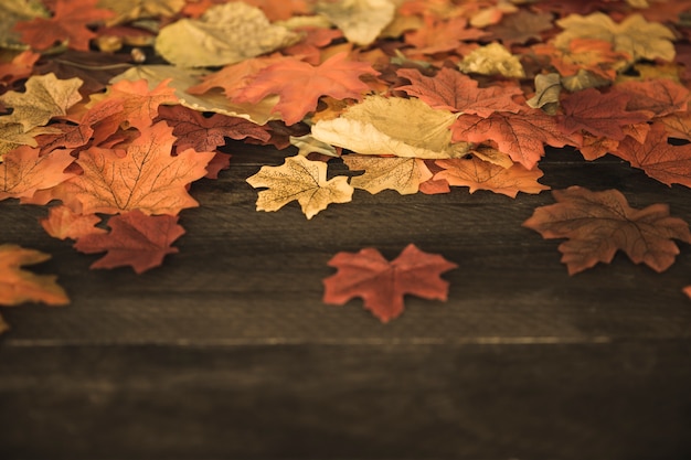 Free Photo autumn leaves lying on table