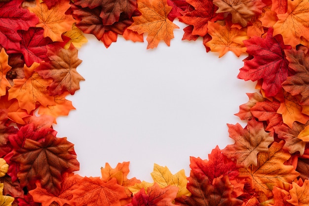 Autumn leaves in natural edges frame composition 