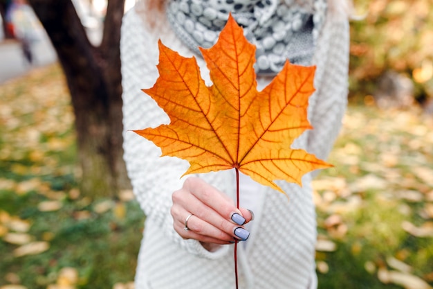 Autumn leaves in woman hands