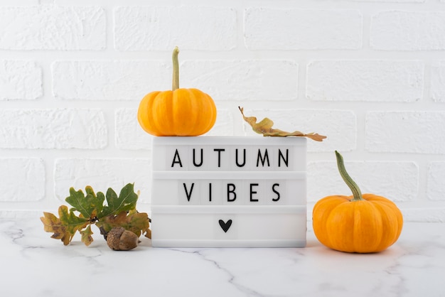 Autumn message on lightbox arrangement