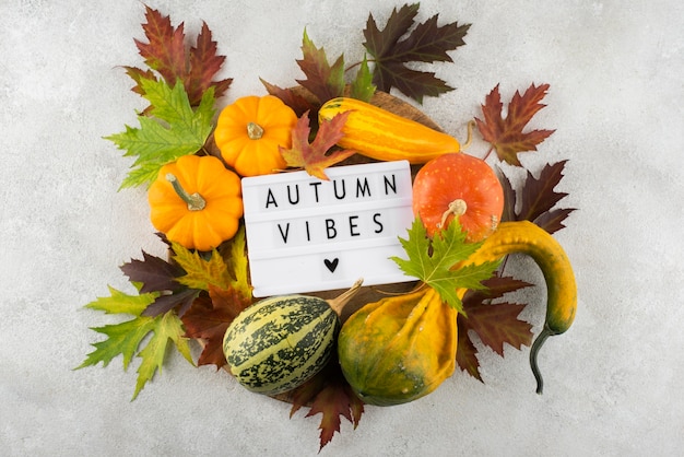 Free Photo autumn message on lightbox arrangement