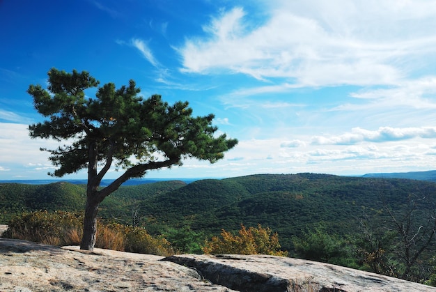 Autumn Mountain peak view panorama