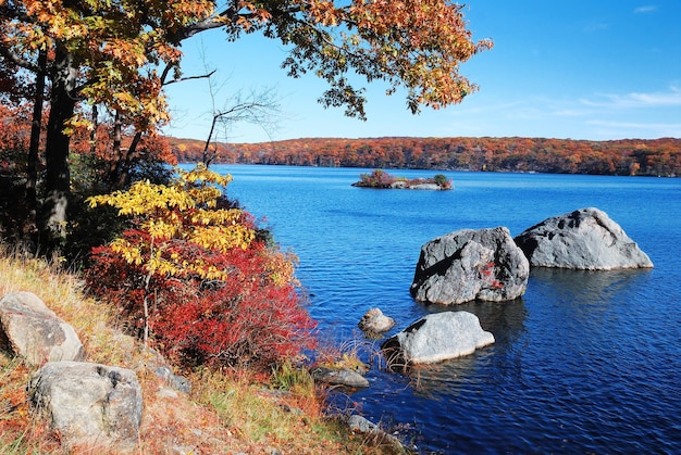 Free photo autumn mountain with lake