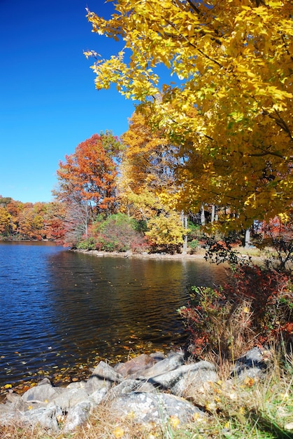 Free photo autumn mountain with lake