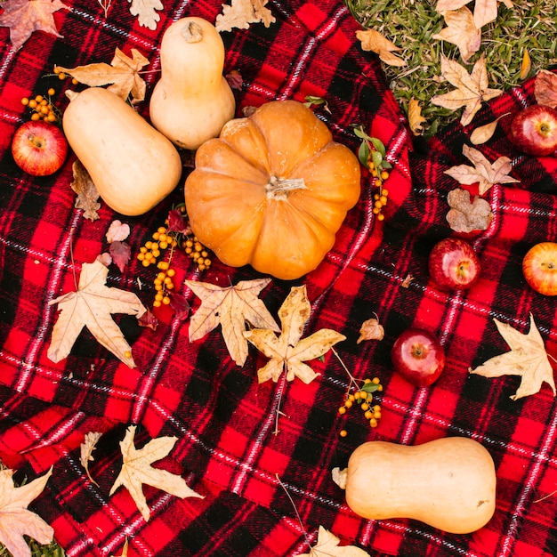 Autumn picnic with pumpkins