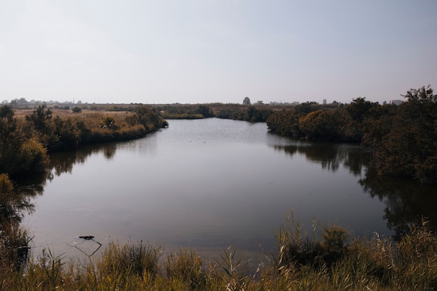 Autumn scenery with a river