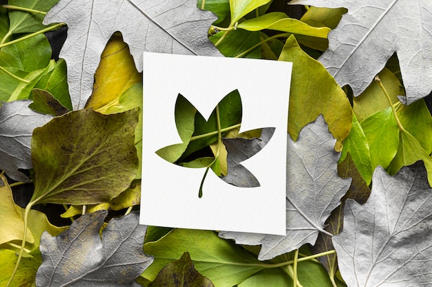 Free photo autumn shapes with leaves concept