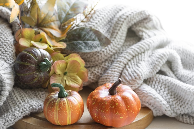 Free Photo autumn still life with pumpkins leaves and knitted element