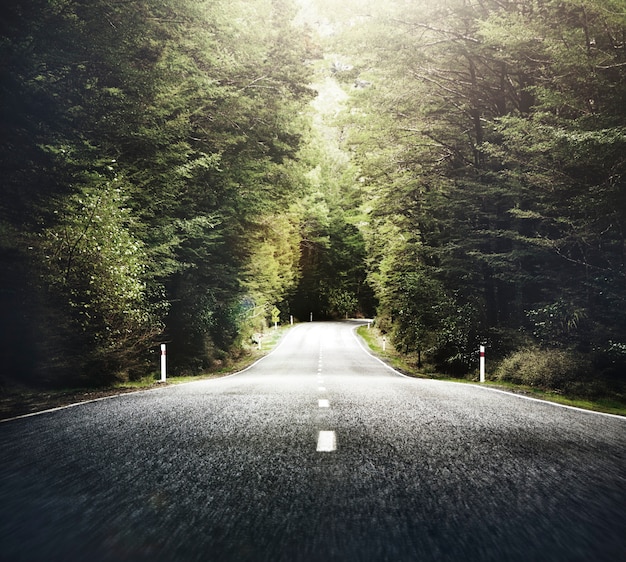 Autumn Themed Country Road With Mountain Range Concept