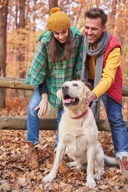 Autumn walk with cute dog