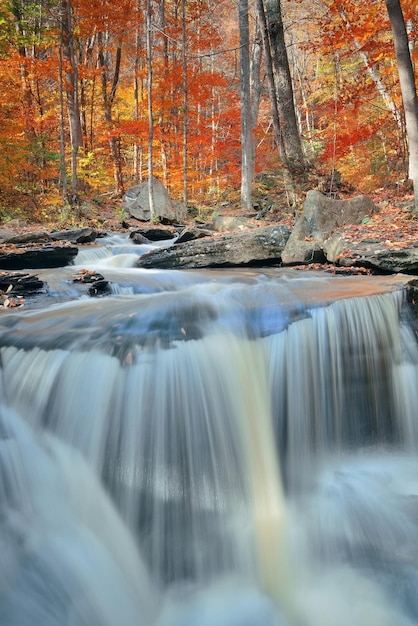 Free photo autumn waterfalls in park with colorful foliage.