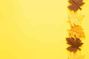 Free photo autumn yellow background with colored felt leaves