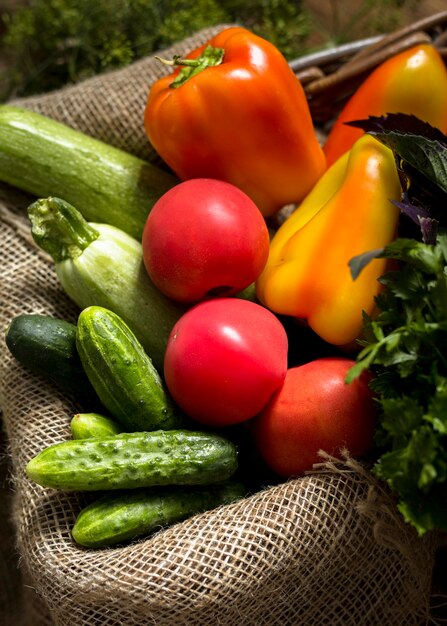 Autumnal composition of fresh vegetables