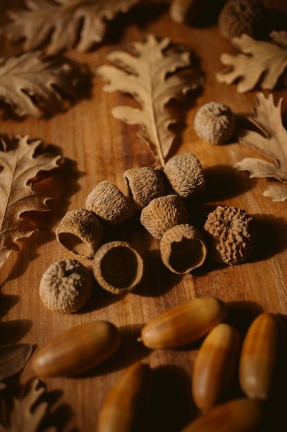 Free Photo autumnal wall. oak leaves and acorns with selective focus. close up view of fallen oak leaves.