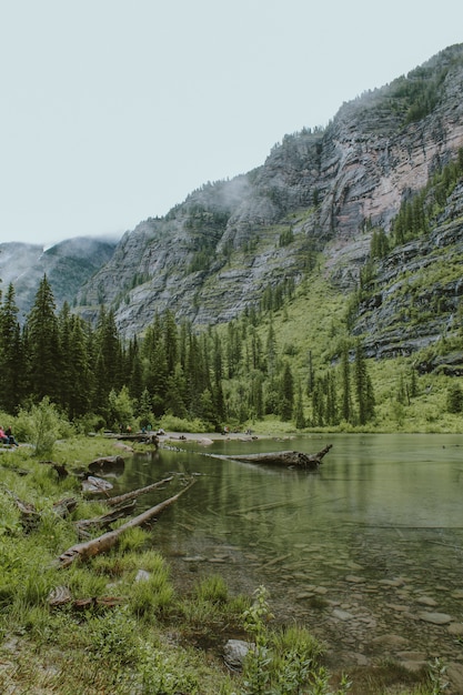 Free photo avalanche lake near a forest with tall trees and a mountain